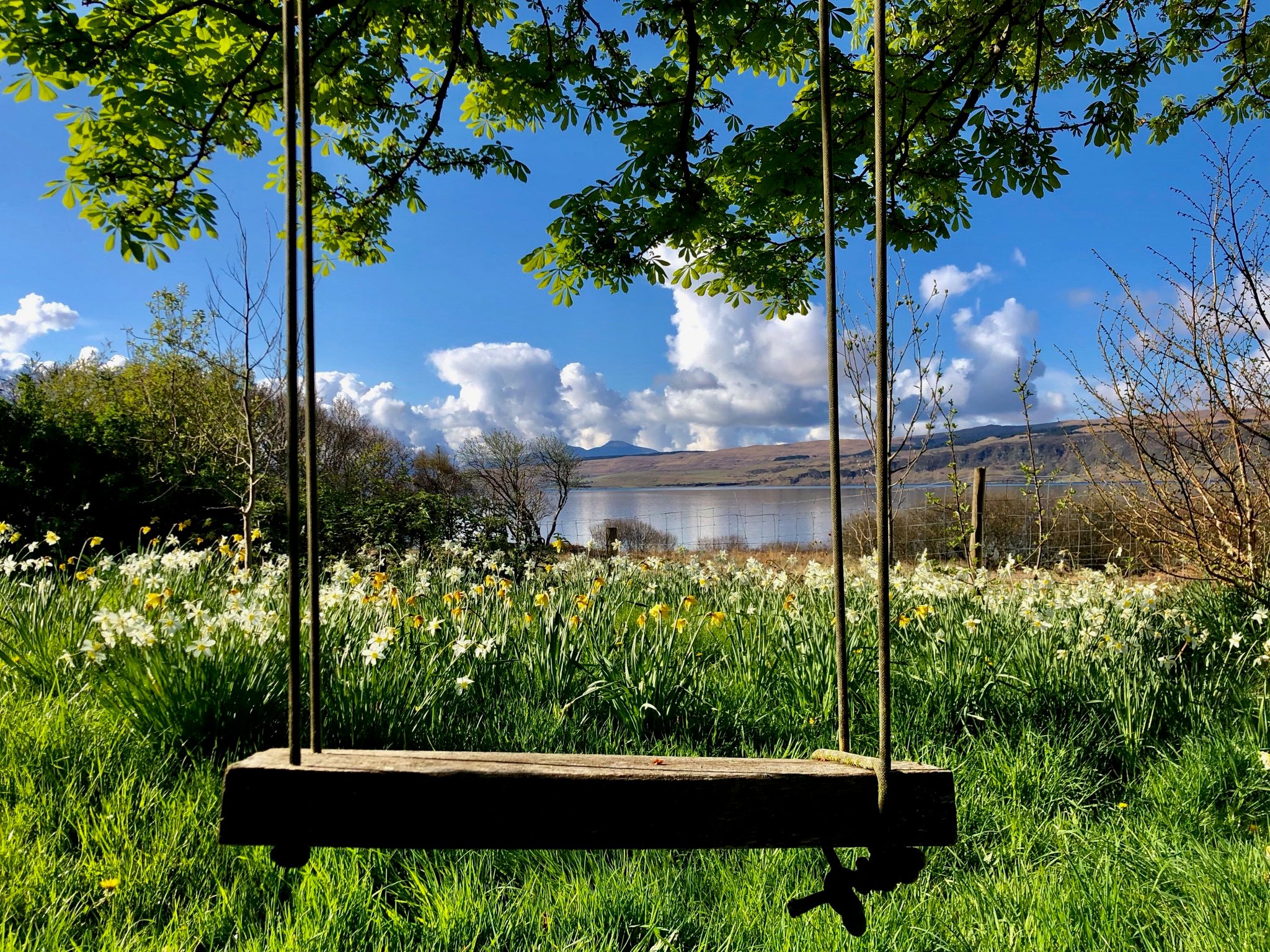 Garden & shore