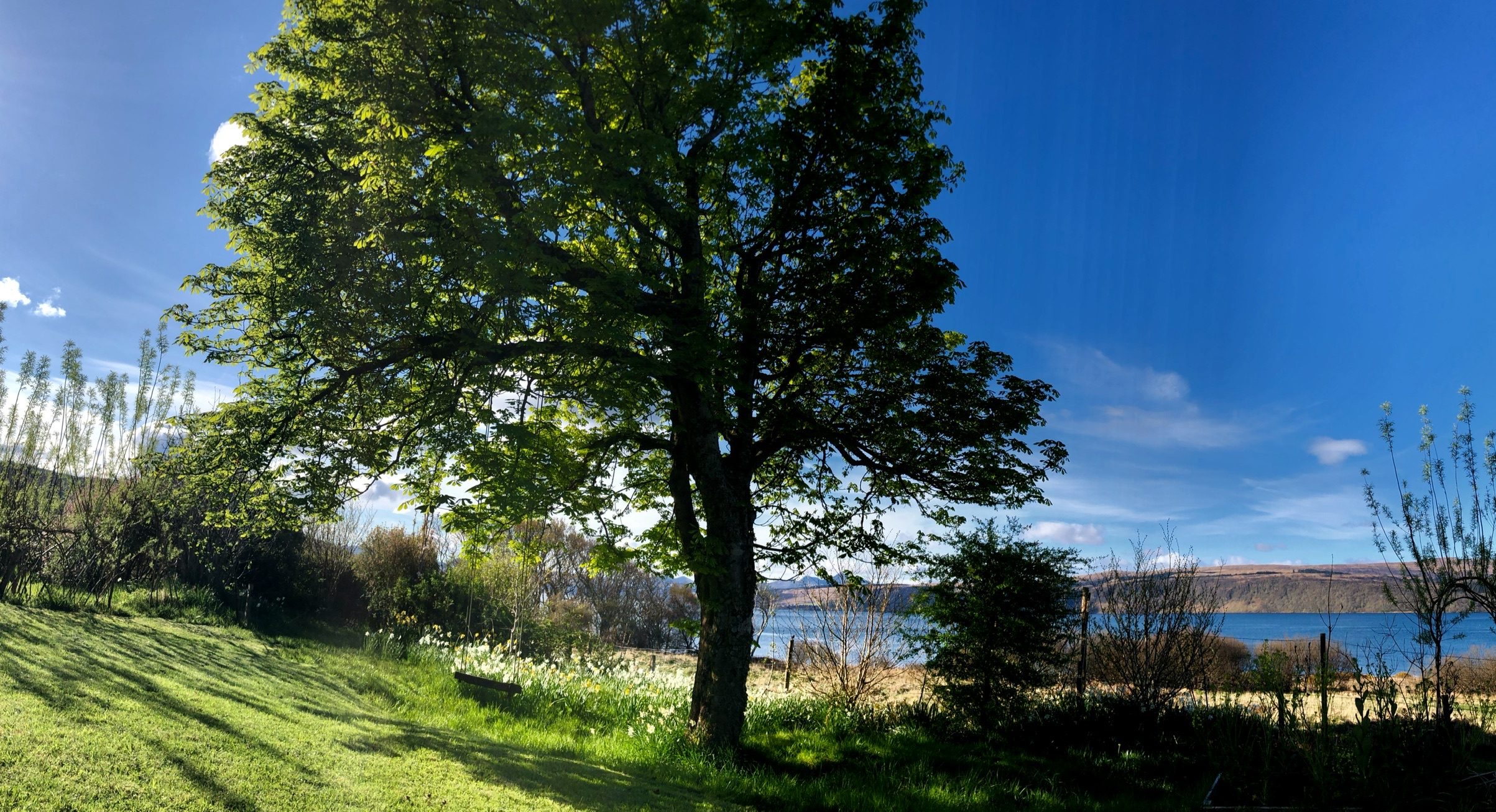Garden & shore