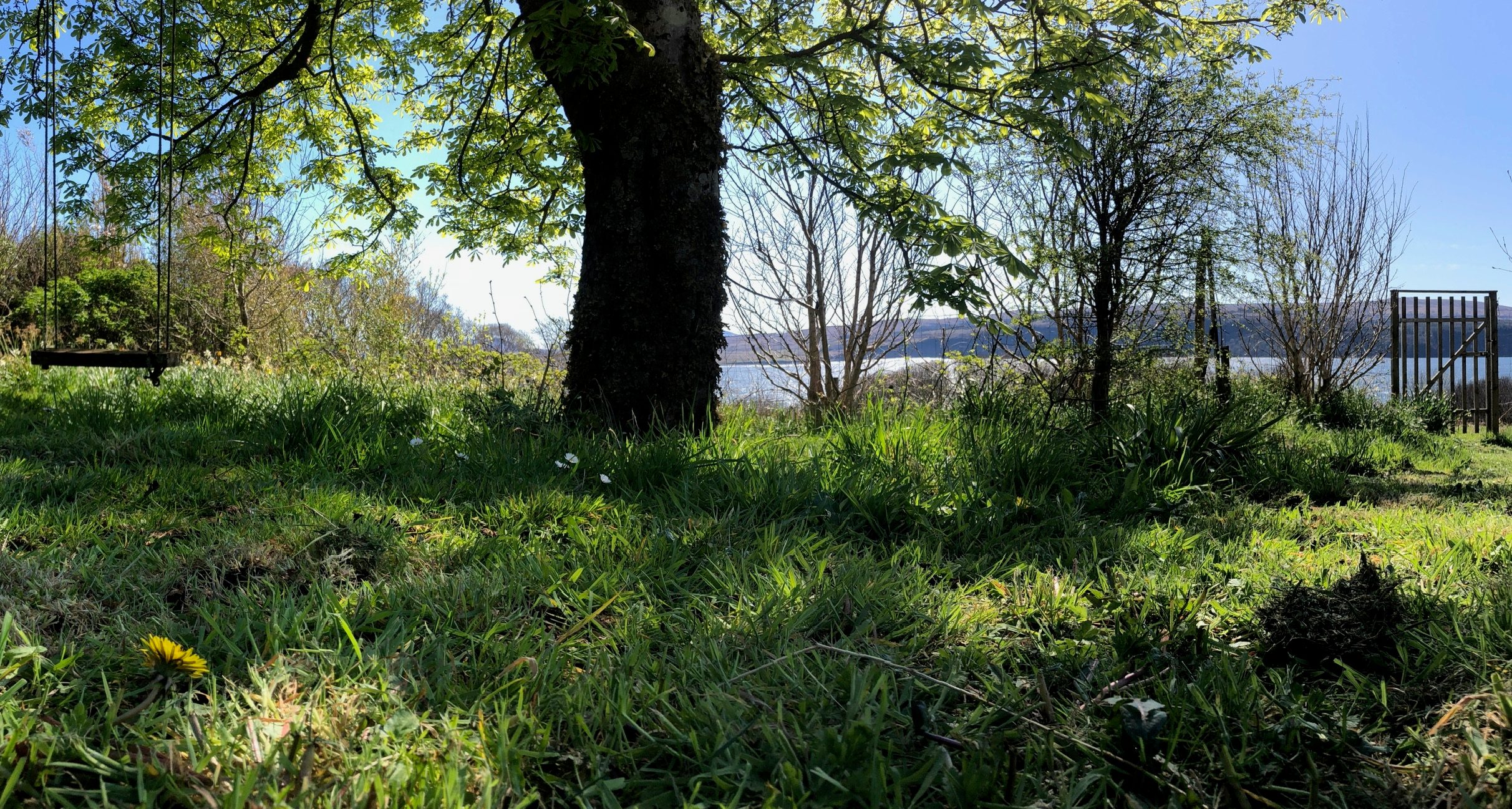 Garden & shore