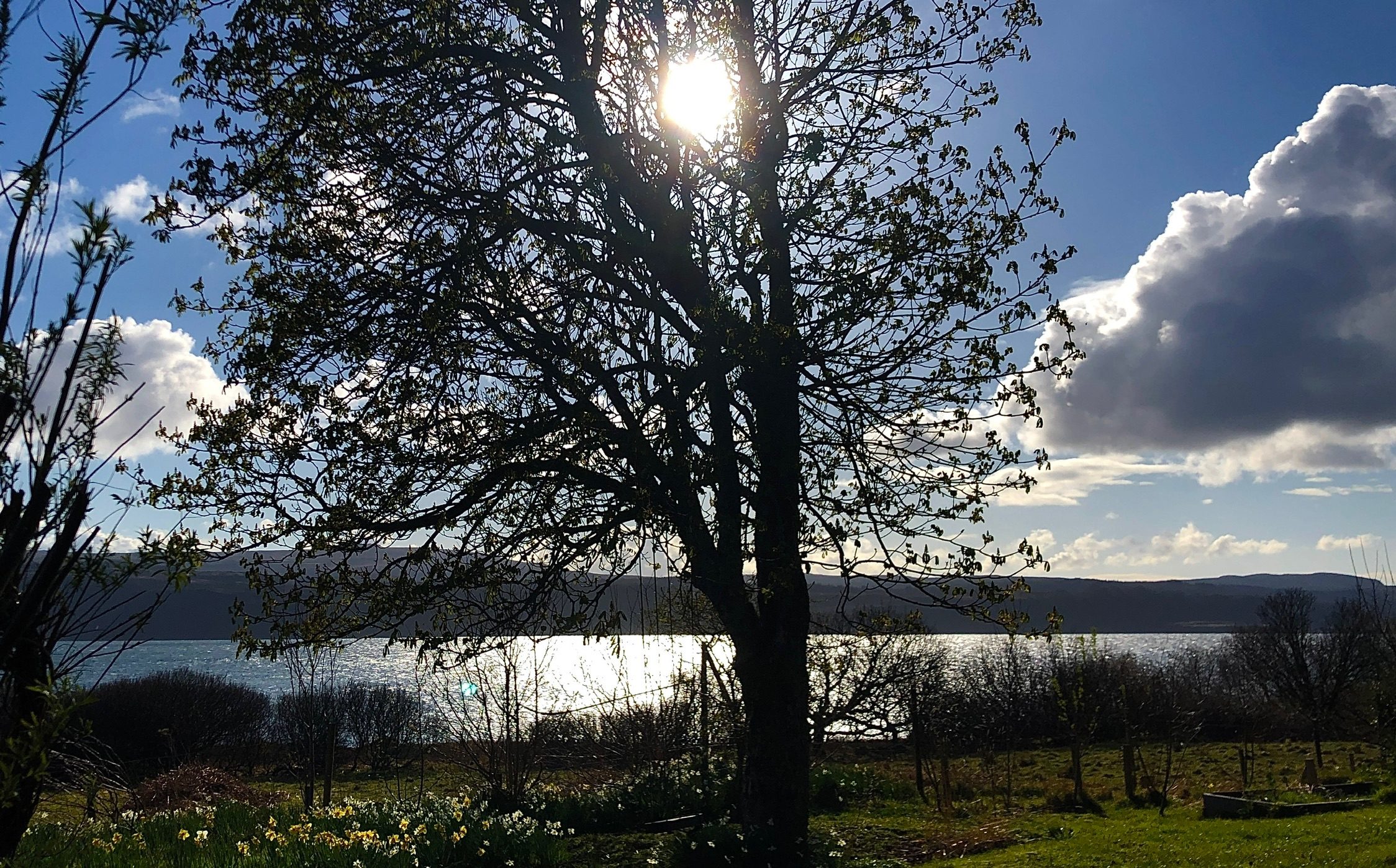 Garden & shore