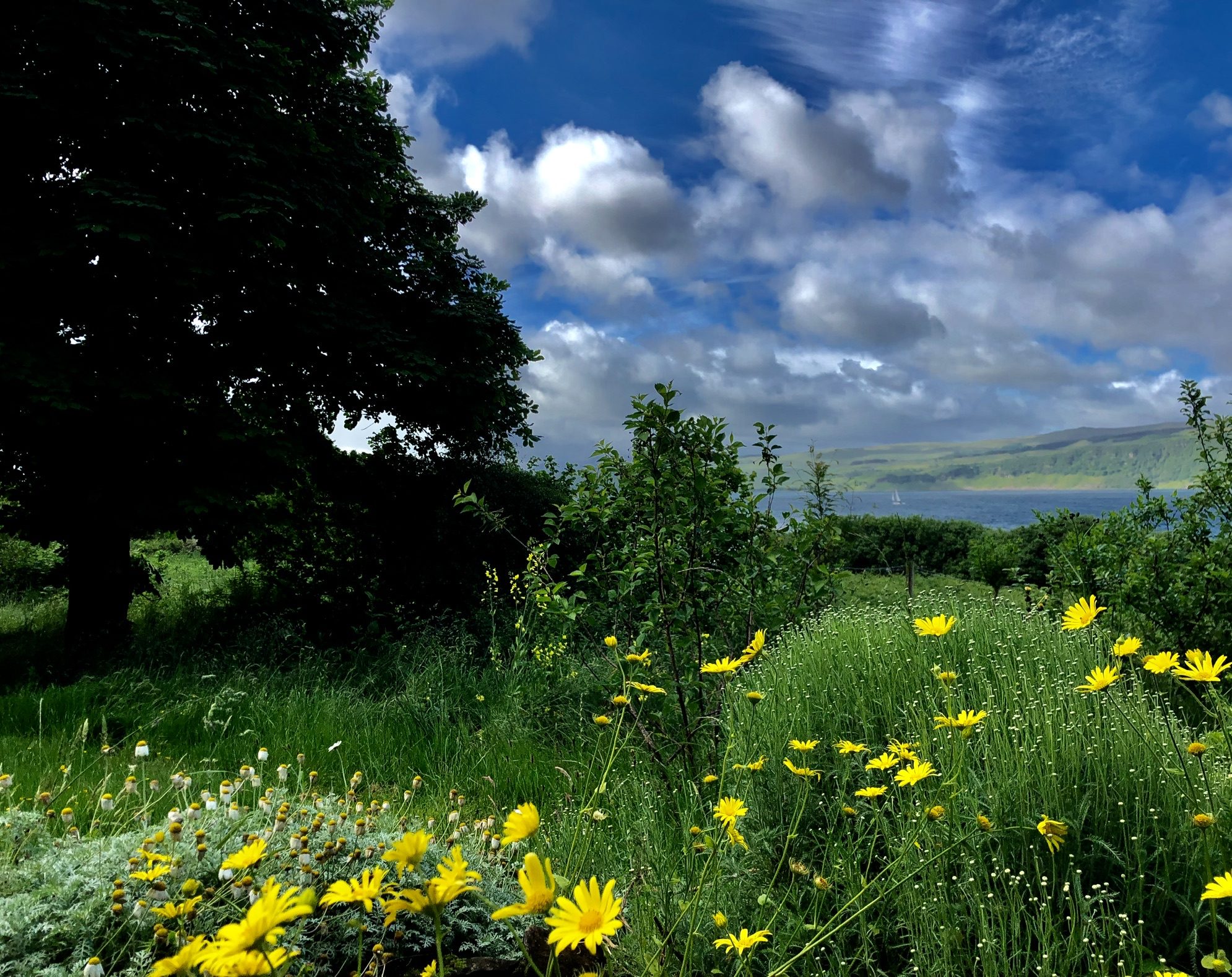 Garden & shore