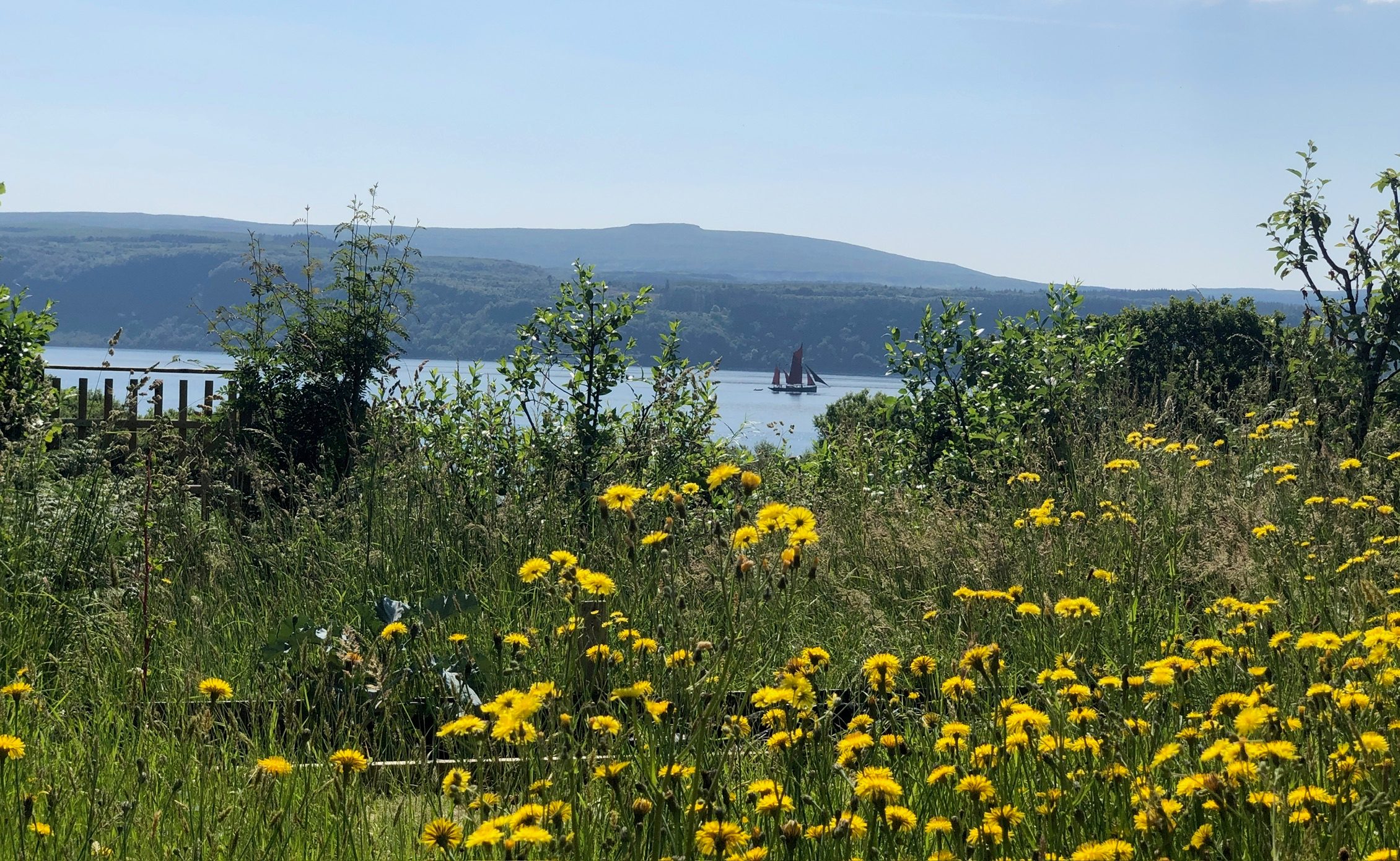 Garden & shore