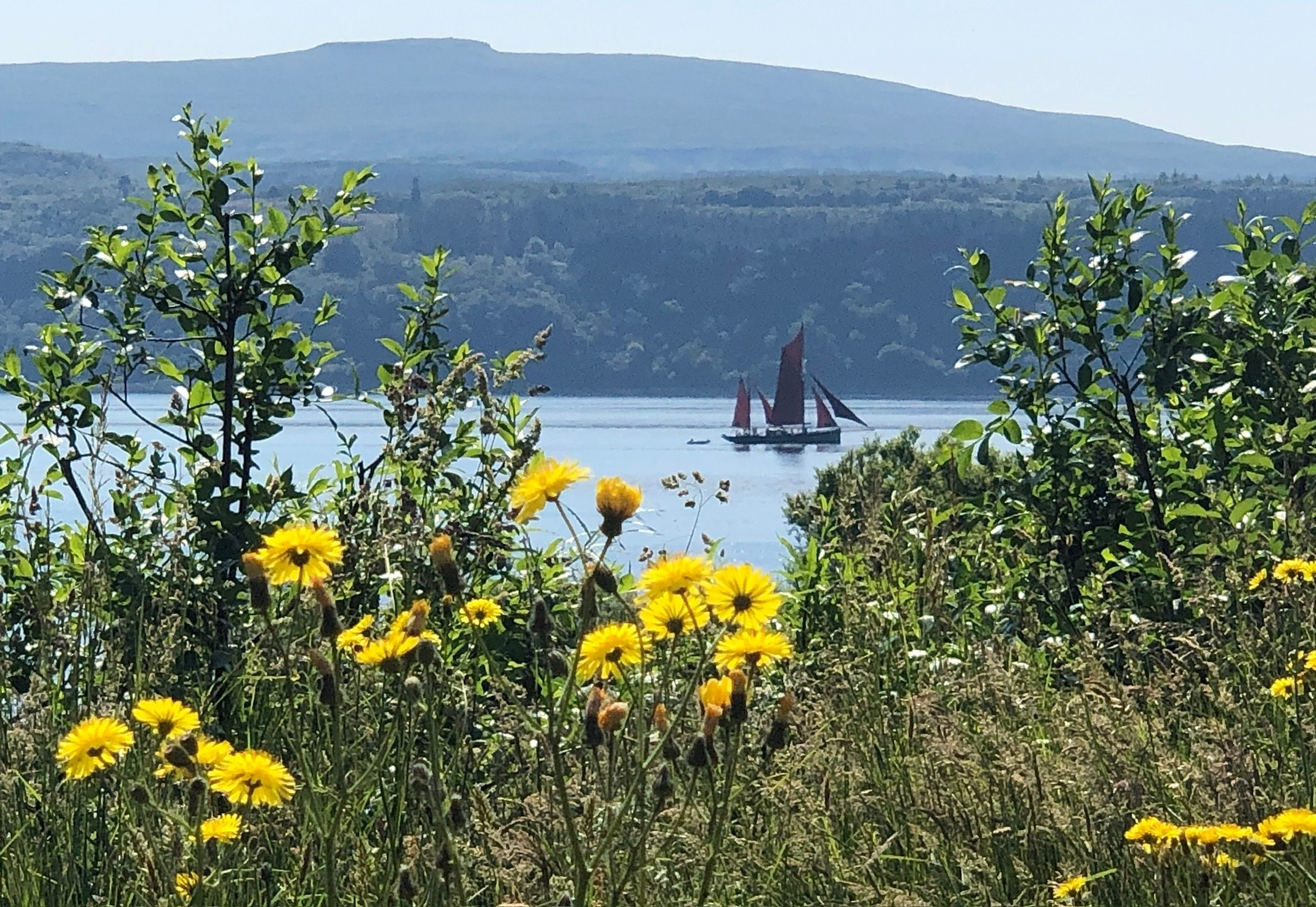 Garden & shore