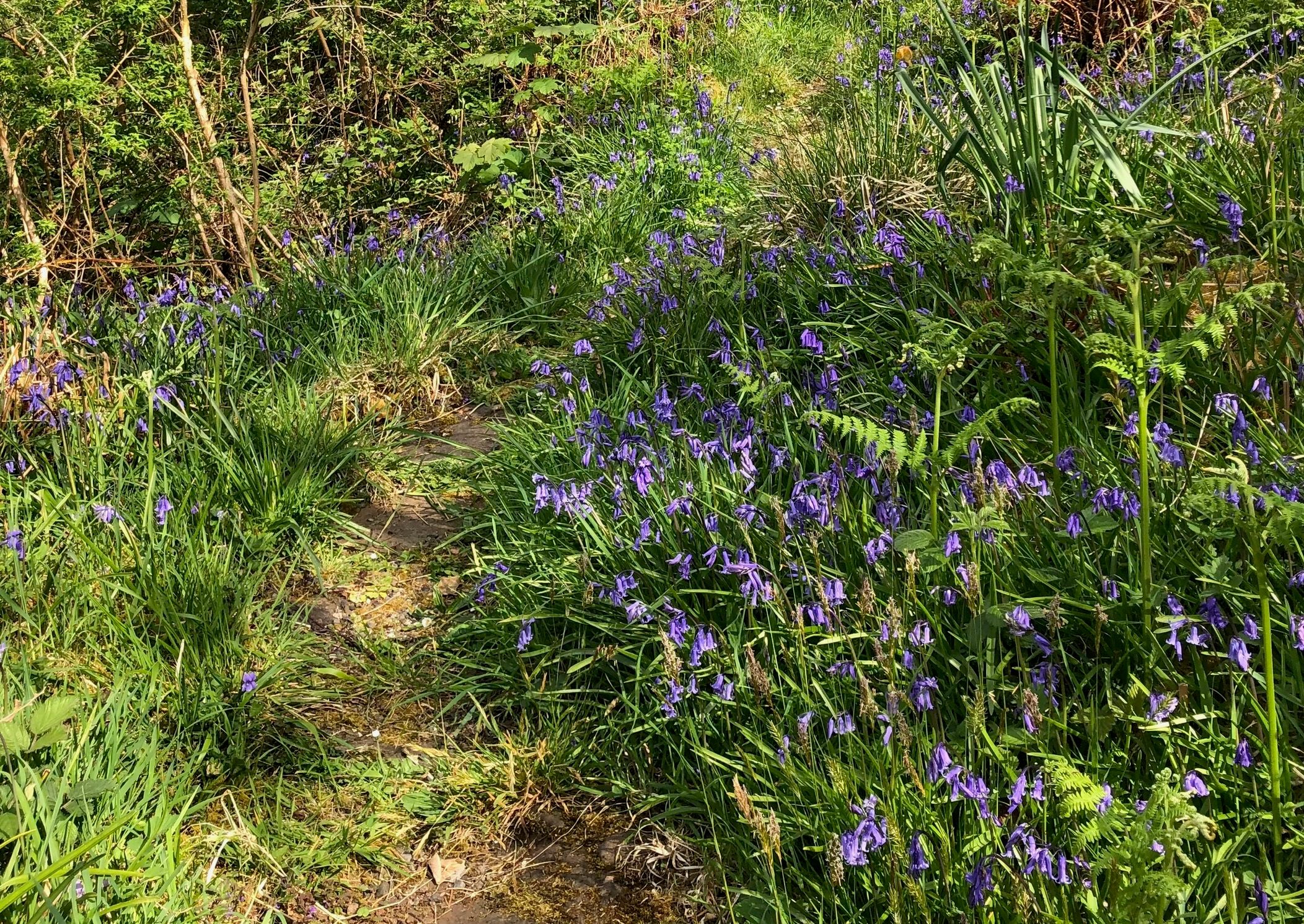 Garden & shore