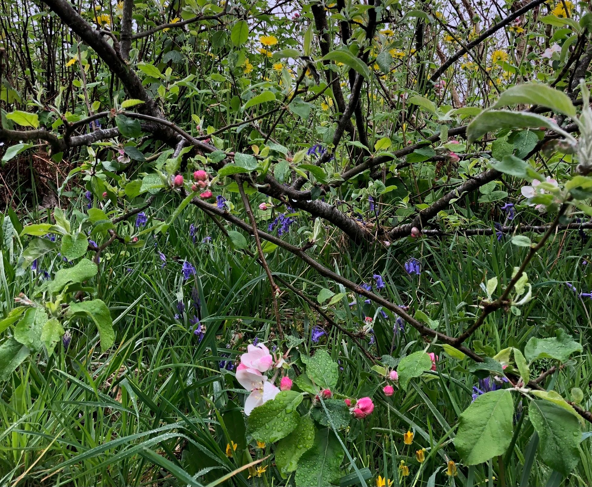 Garden & shore