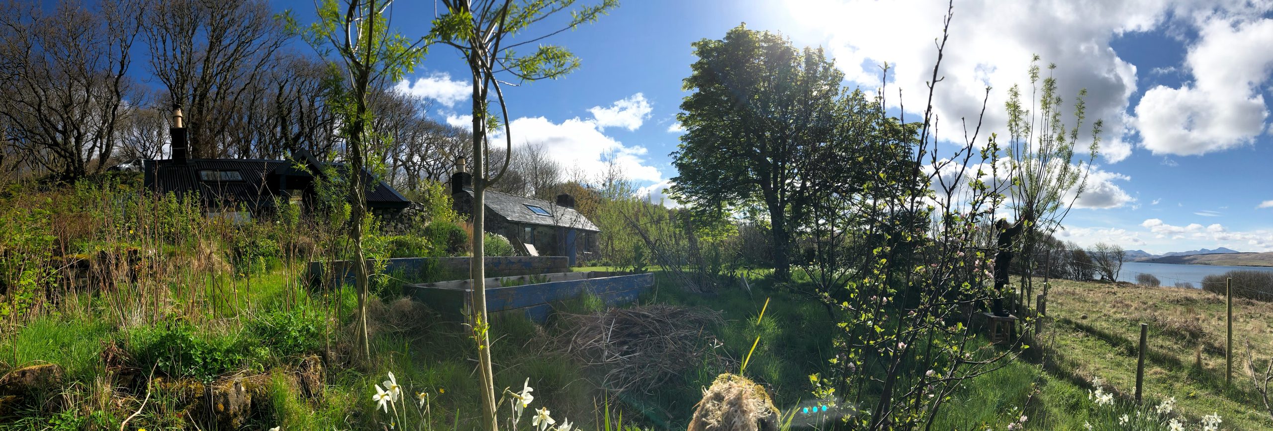 Garden & shore