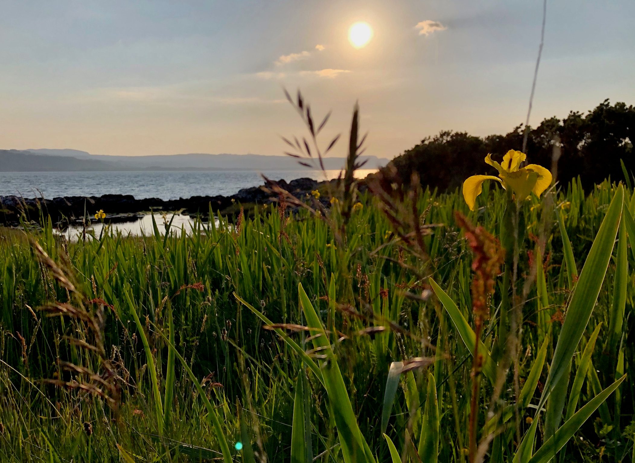 Garden & shore