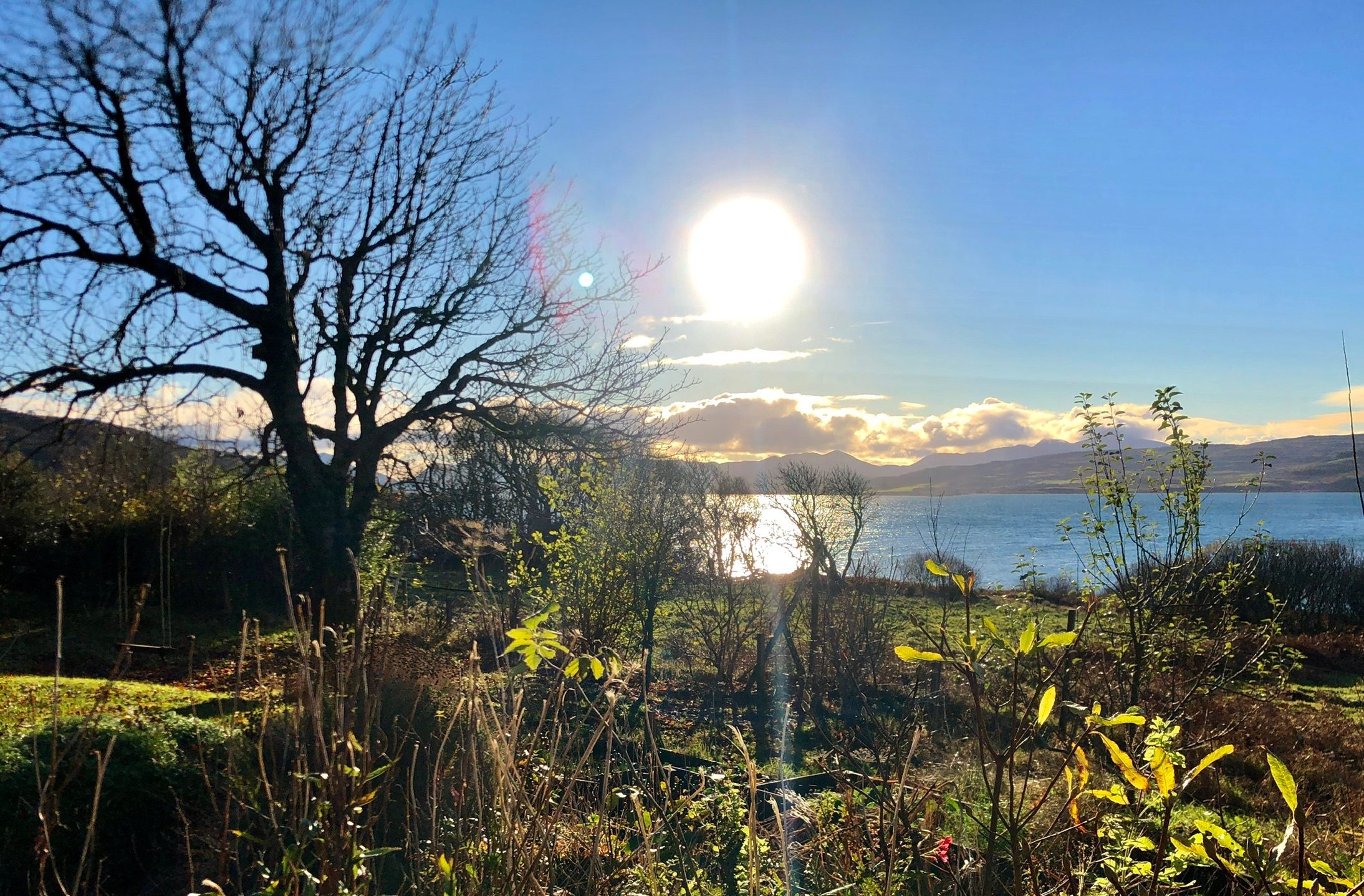 Garden & shore