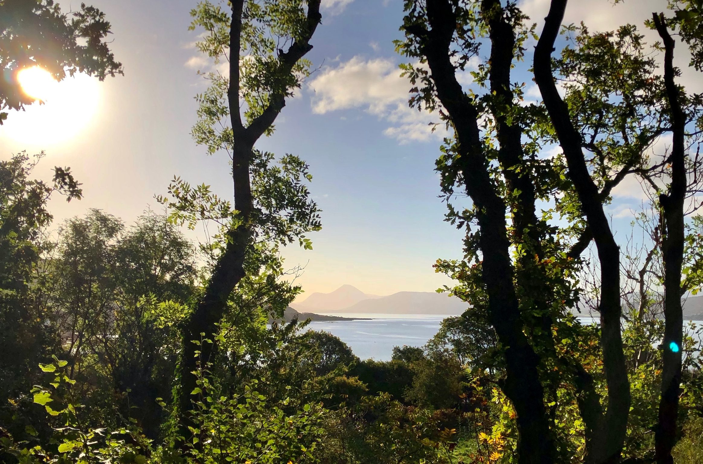 Garden & shore