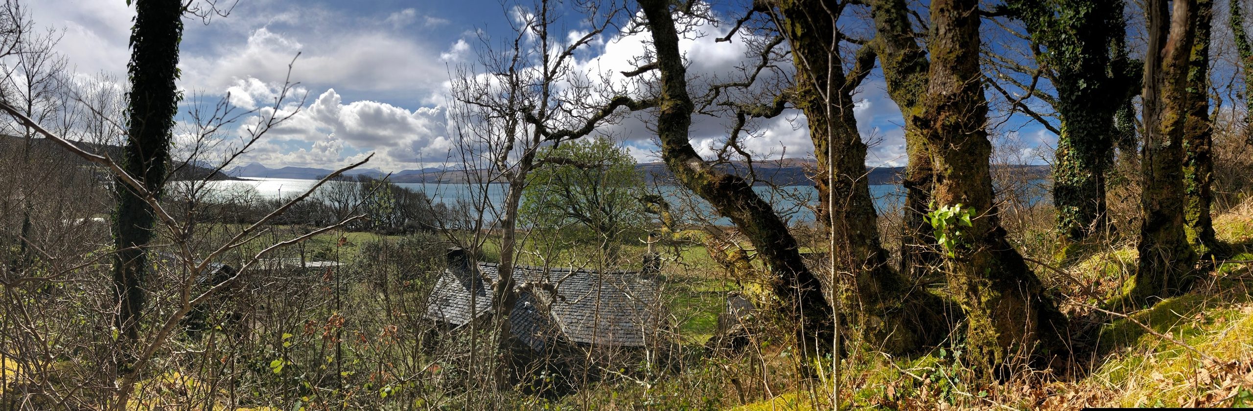 Garden & shore
