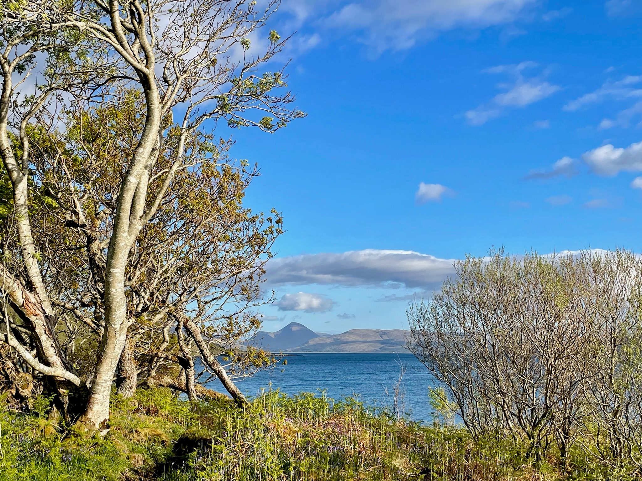 Garden & shore