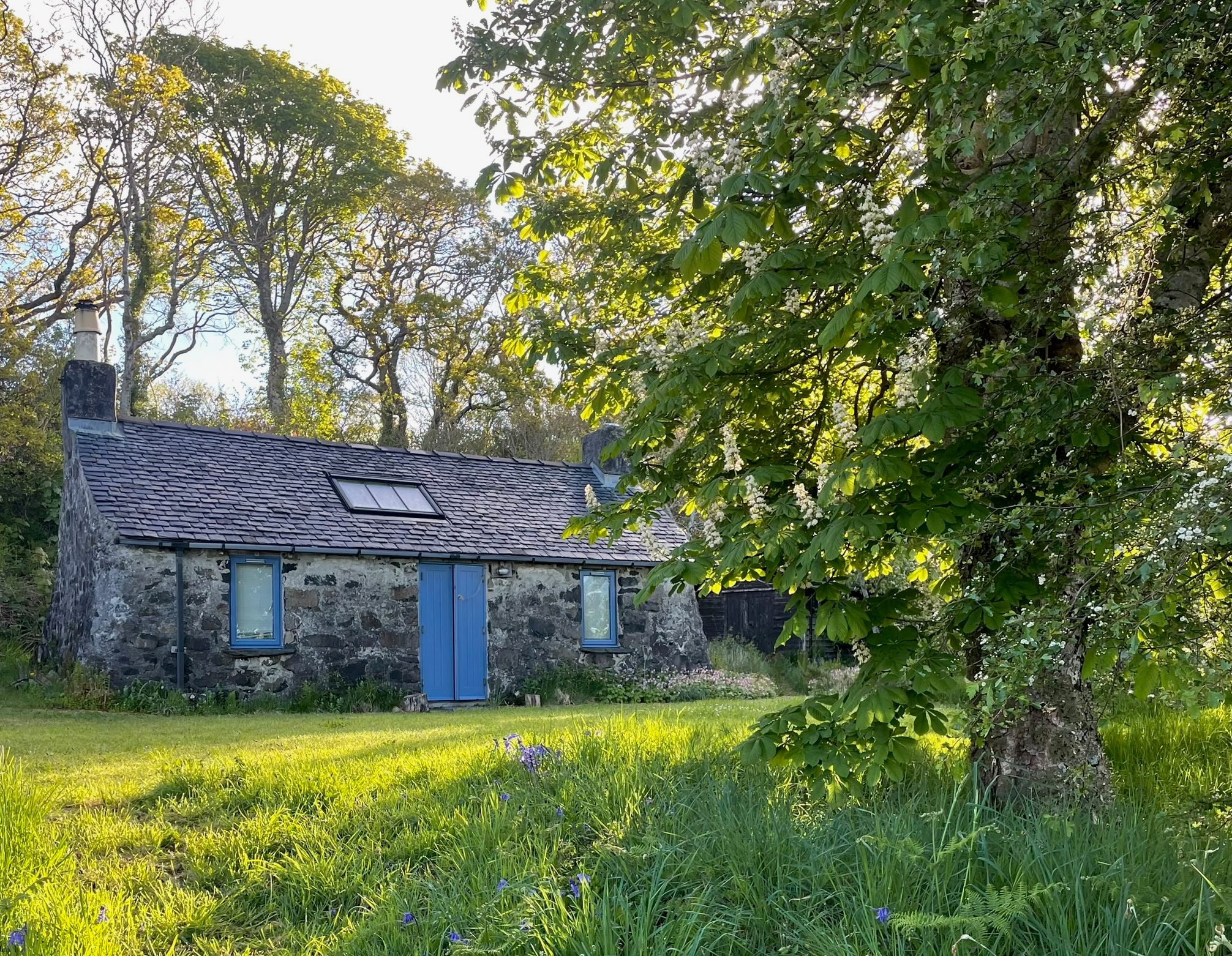 The house