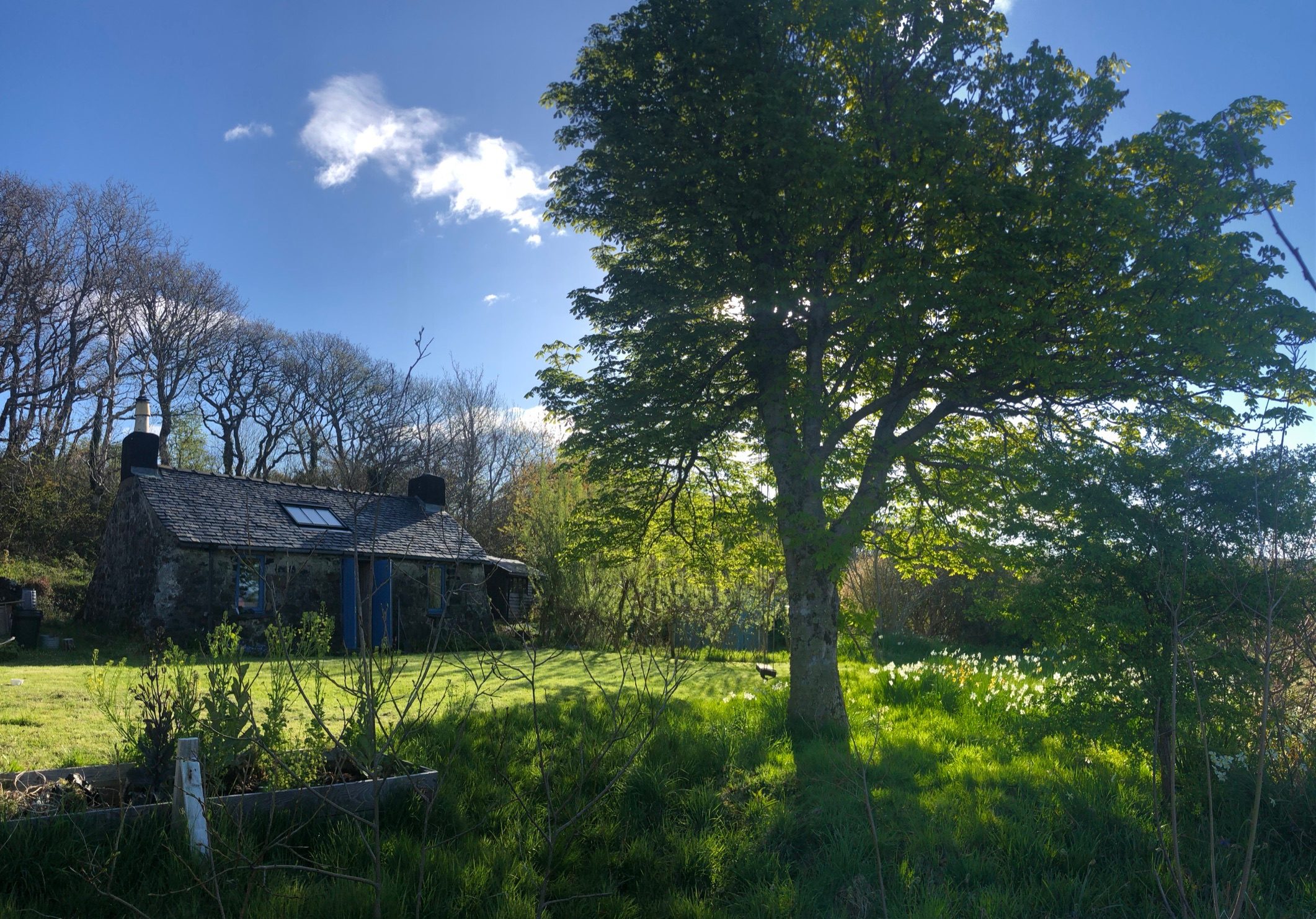 The house