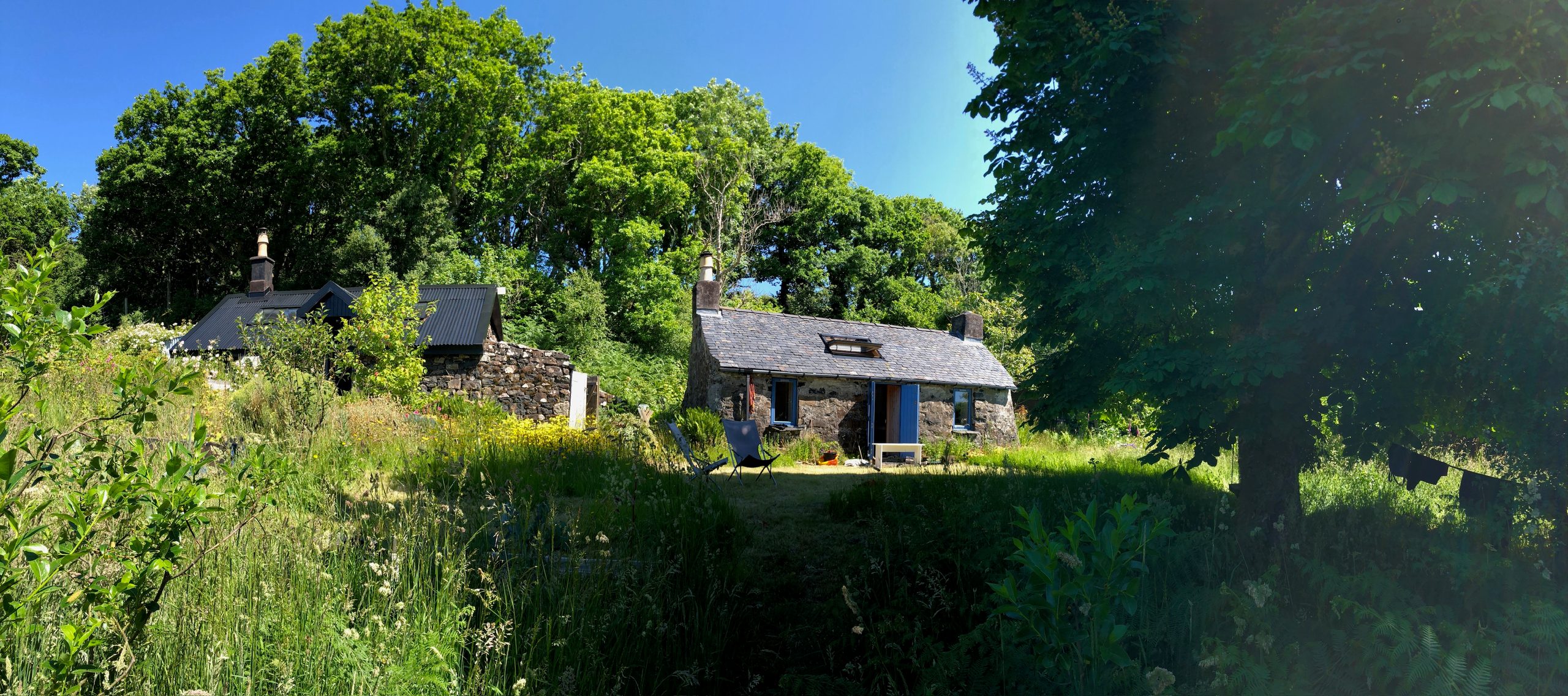 The house