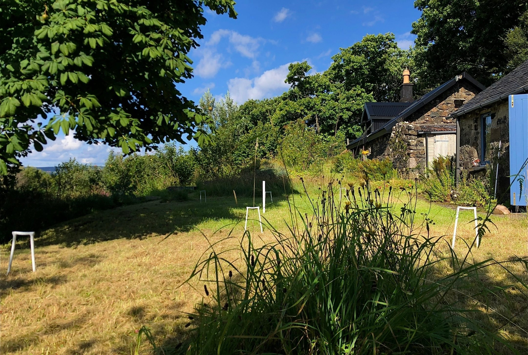 The house