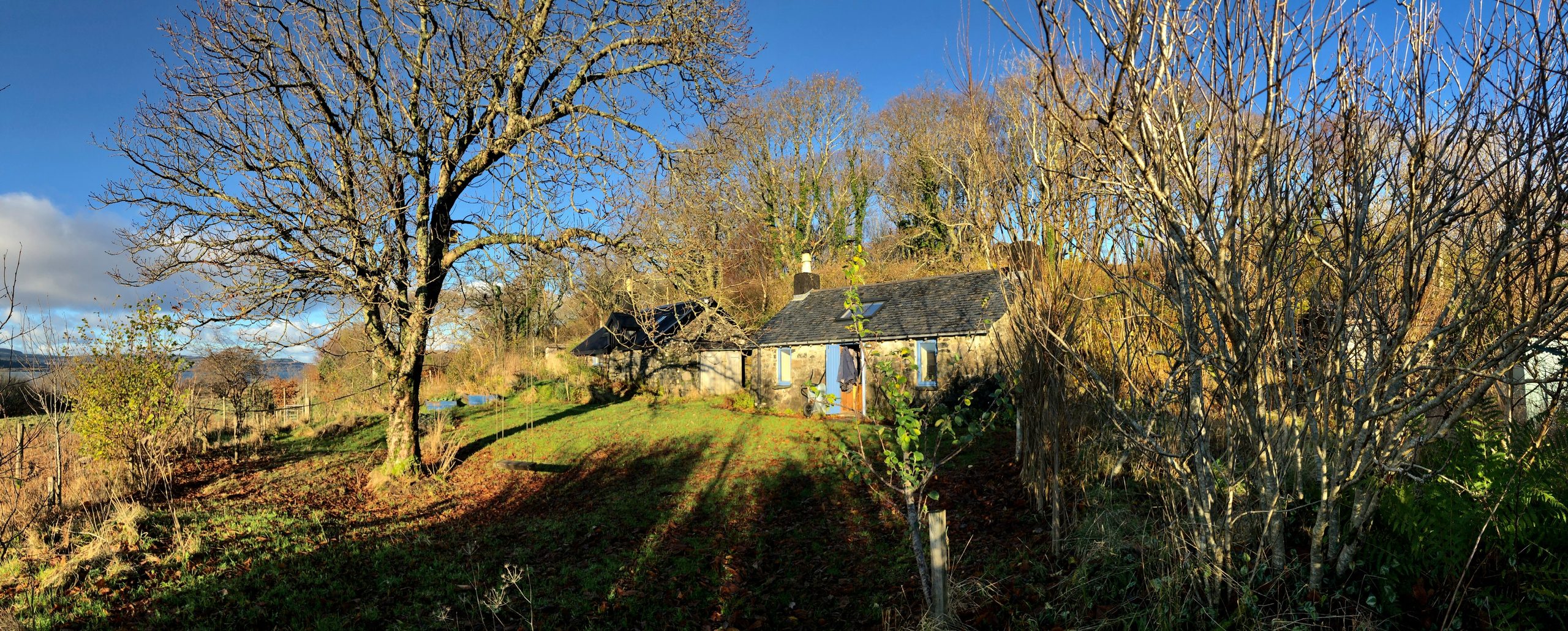 The house