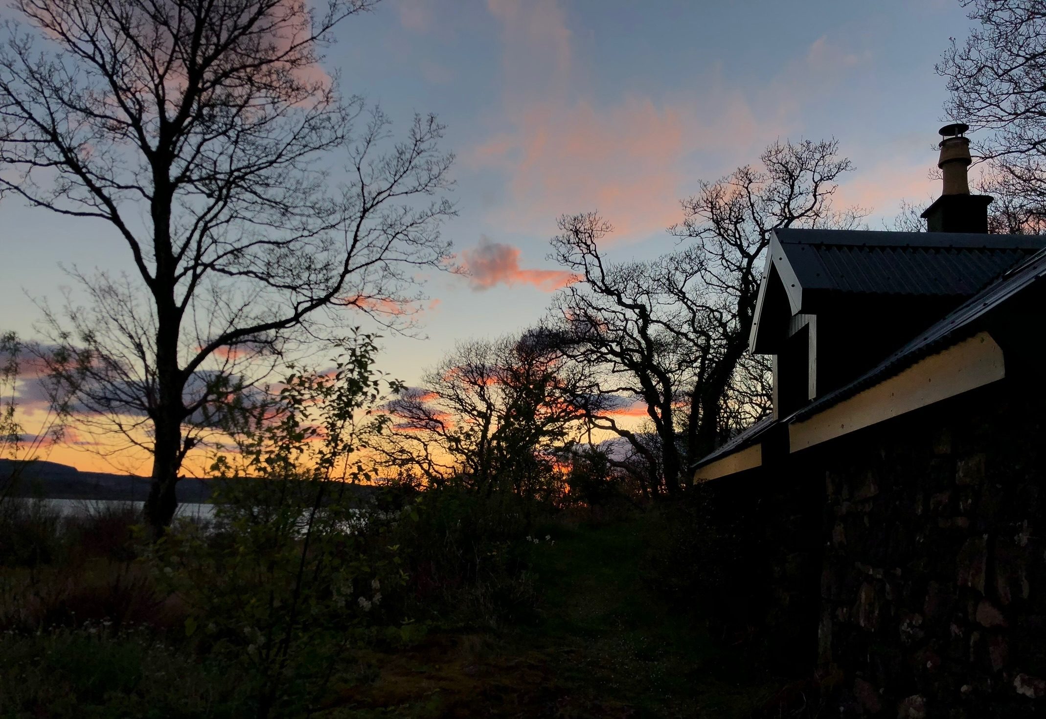 The house