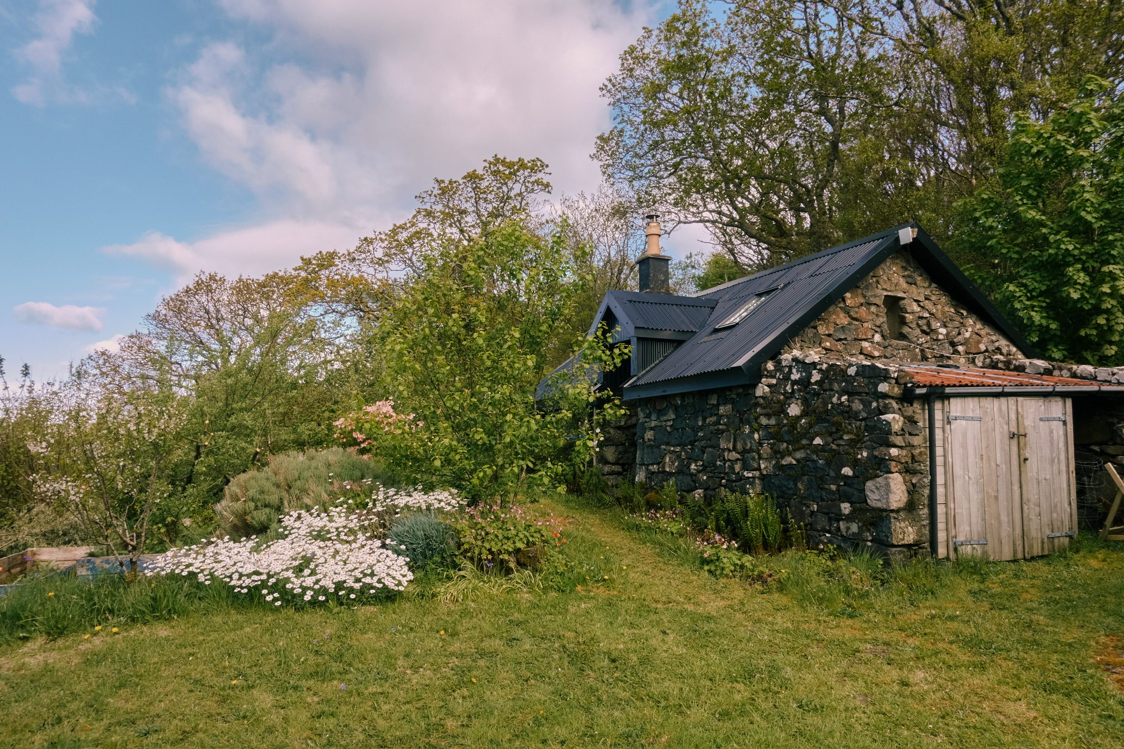 The house